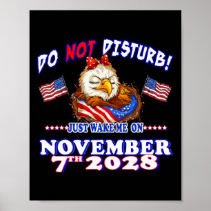 Pro Democracy Fourth July 4th Sarcastic Election E Poster