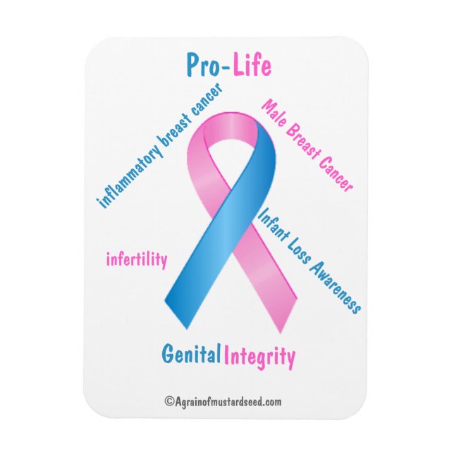 Pro-Life Awareness Magnet (Vertical)