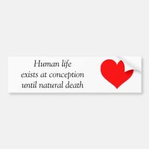 Pro-life Bumper Sticker