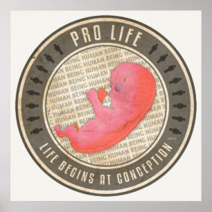 Pro Life Poster