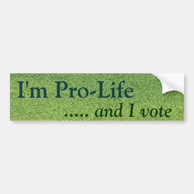 Pro Life Voter Bumper Sticker (Front)