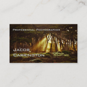 Pro Photography (Forest 3) Business Card