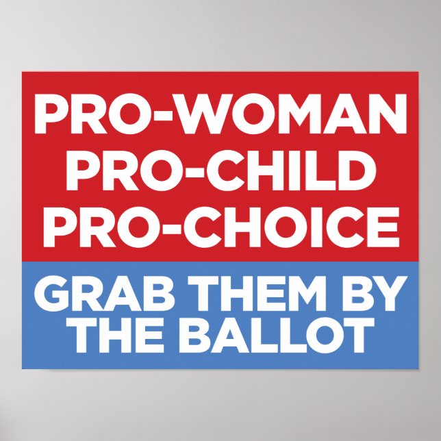 Pro-Woman Pro-Child Pro-Choice 16x12 Window Poster (Front)