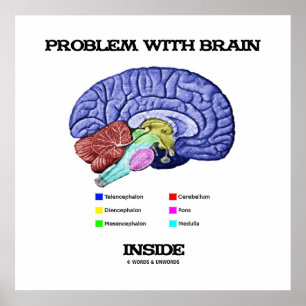 Problem With Brain Inside (Brain Anatomy) Poster