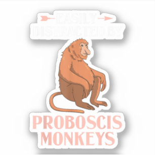 Proboscis Monkey Funny Long Nosed Monkeys