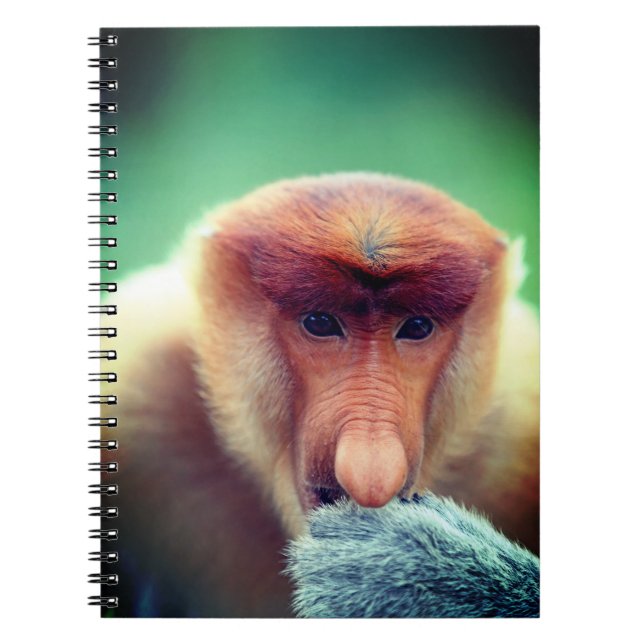 Proboscis Monkey in Borneo. Notebook (Front)