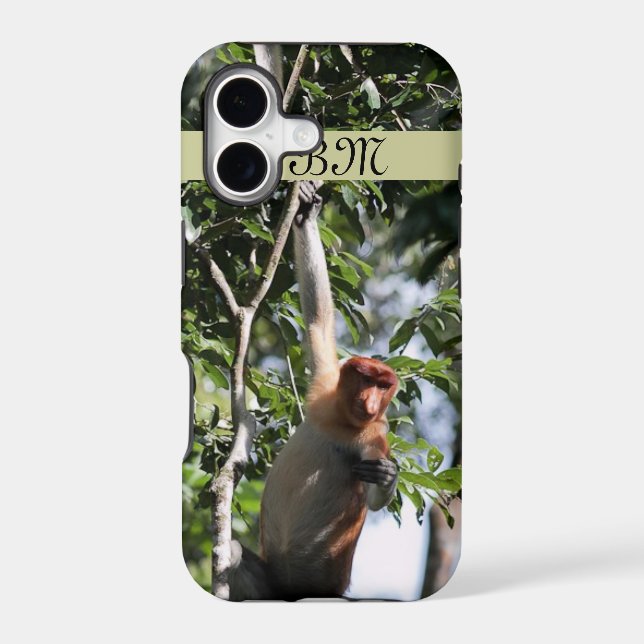 Proboscis Monkey in Borneo Rainforest (Back)