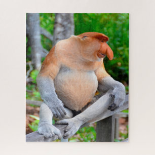 Proboscis Monkey. Jigsaw Puzzle
