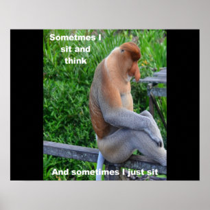 Proboscis Monkey - Sometimes I Sit and Think Poster