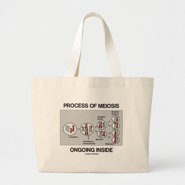 Process Of Meiosis Ongoing Inside Large Tote Bag (Front)