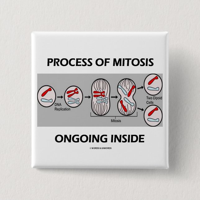 Process Of Mitosis Ongoing Inside 15 Cm Square Badge (Front)