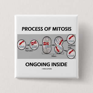 Process Of Mitosis Ongoing Inside 15 Cm Square Badge