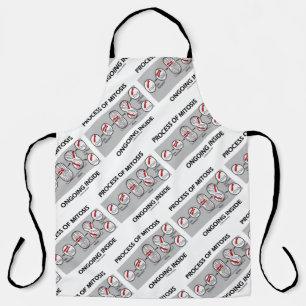 Process Of Mitosis Ongoing Inside Cell Division Apron