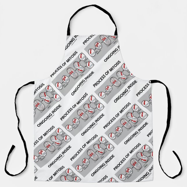 Process Of Mitosis Ongoing Inside Cell Division Apron (Front)