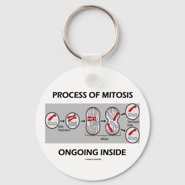 Process Of Mitosis Ongoing Inside Key Ring (Front)