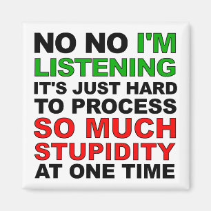 Process Your Stupidity Funny Fridge Magnet