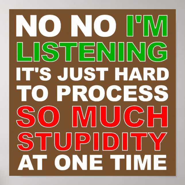 Process Your Stupidity Funny Poster Sign (Front)