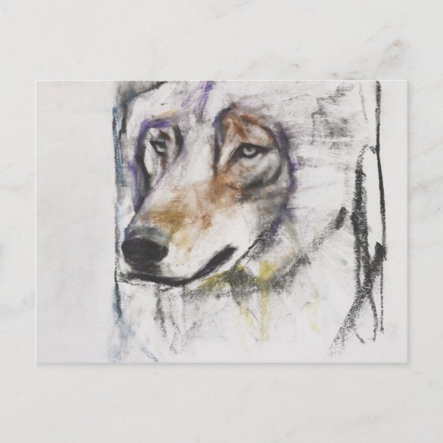 Processo Al Lupo Postcard (Front)