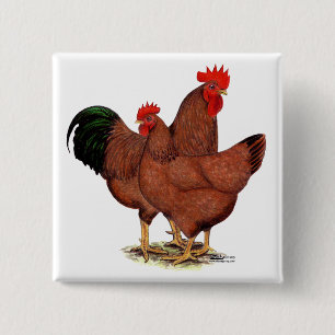 Production Red Chickens 15 Cm Square Badge