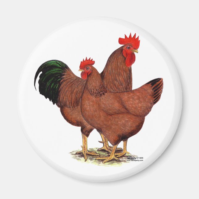 Production Red Chickens Magnet (Front)
