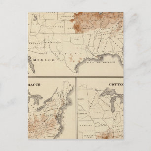 Products raised in 1870 Hay Tobacco Cotton Postcard