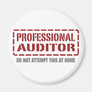 Professional Auditor Magnet