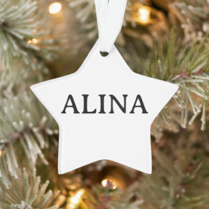 Professional Business Acrylic Star Ornament