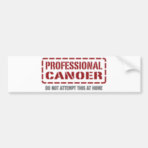 Professional Canoer Bumper Sticker