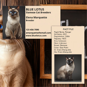 Professional Cattery, Siamese Cat Breeders Business Card