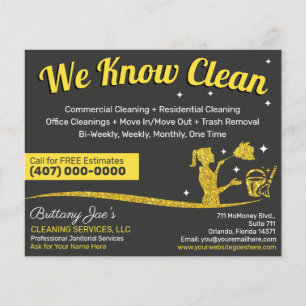 Professional Cleaning/Janitorial Housekeeping Serv Flyer