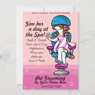 Professional dog grooming advertising cards