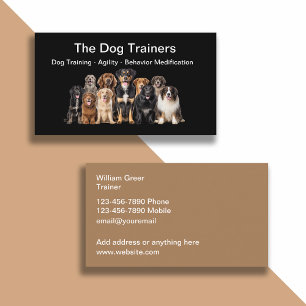 Professional Dog Training Business Cards