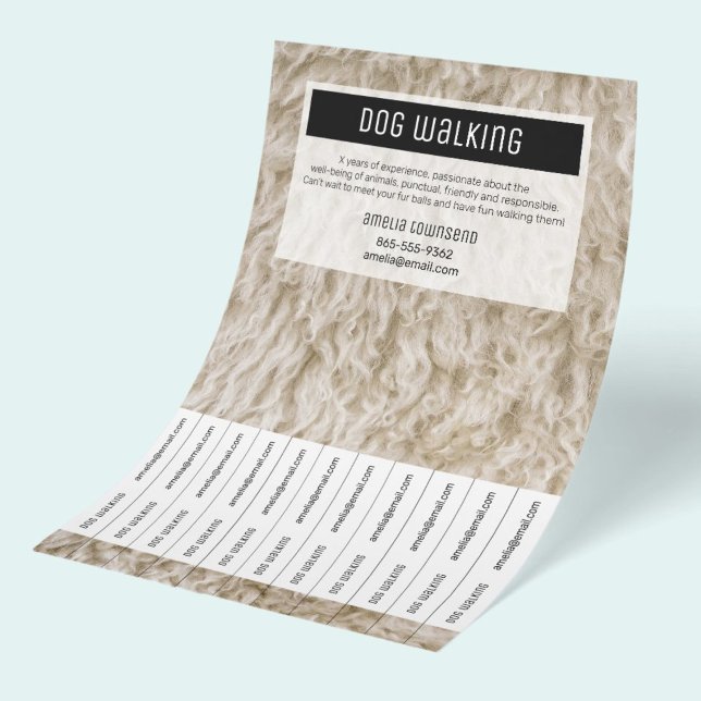 Professional Dog Walker Flyers Miminal Pet Sitter (Monochrome Modern Black and White Dog Walker business flyers, perfect promotion and advertising.)