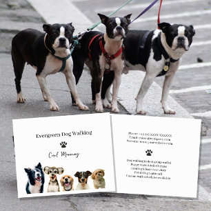 Professional Dog Walking & Pet Sitting Service Fly Flyer