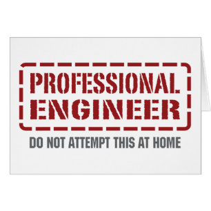 Professional Engineer
