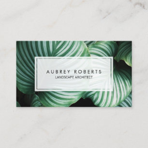 Professional Landscape Architect Tropical Plant Business Card