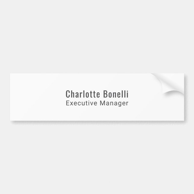 Professional Modern Minimalist Plain  Bumper Sticker (Front)