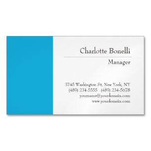 Professional Modern Minimalist Plain Magnetic Business Card