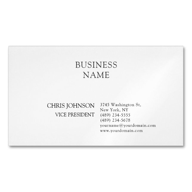 Professional Modern Plain Simple  Magnetic Business Card (Front)