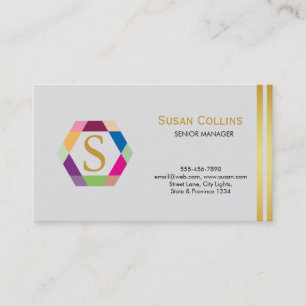 Professional Modern Simple Plain Logo Hexagon Business Card