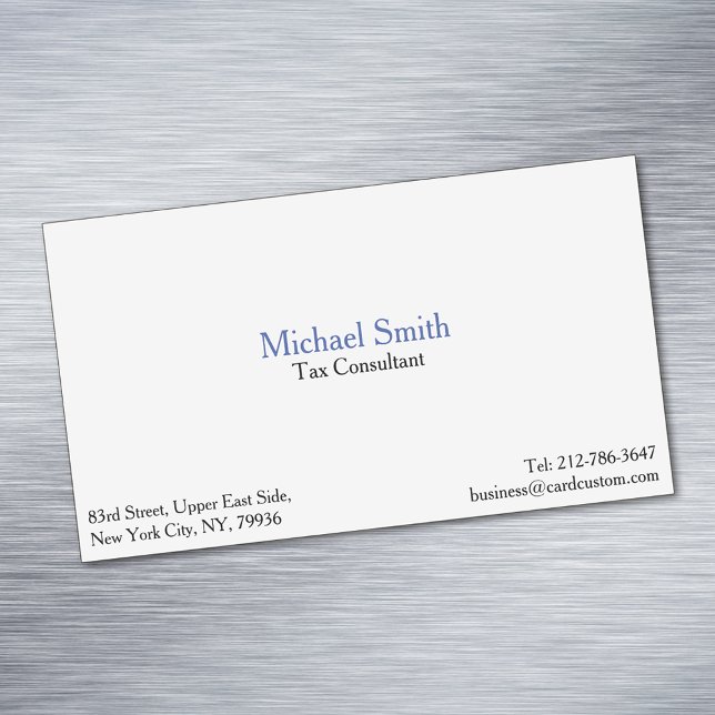 Professional Plain Elegant Modern Magnetic Card (Professional Plain Elegant Modern Magnetic Card)