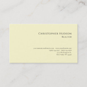 Professional Plain Realtor Real Estate Pastel  Business Card