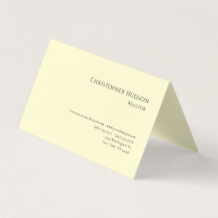 Professional Plain Realtor Real Estate Pastel  Business Card