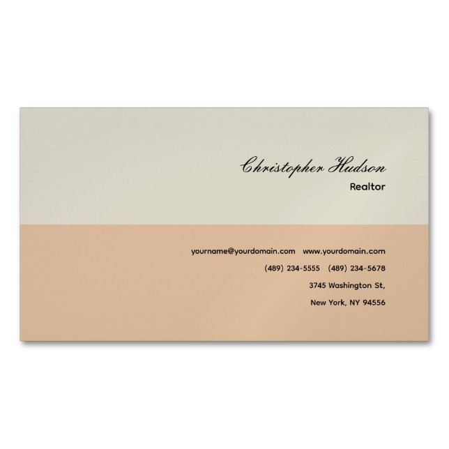 Professional Simple Plain Realtor Real Estate Magnetic Business Card (Front)