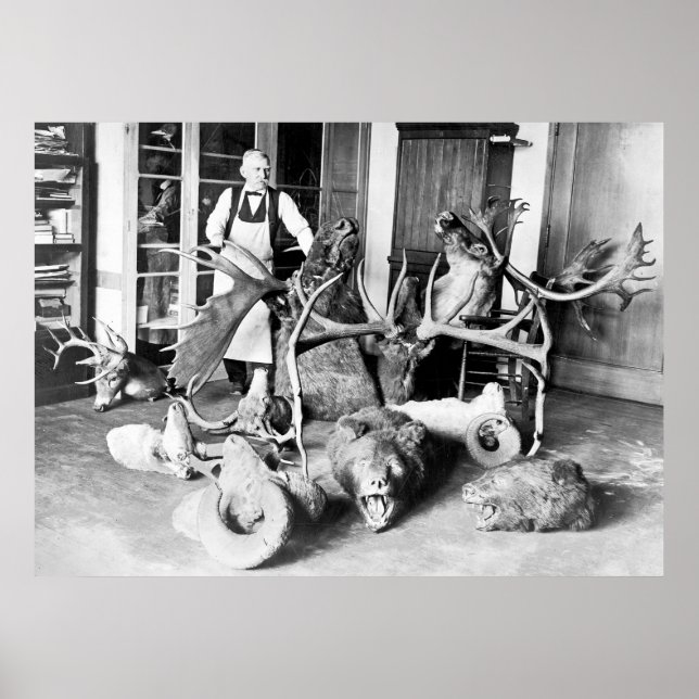 Professional Taxidermist: 1923 Poster (Front)