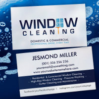 Professional Window Cleaning Services
