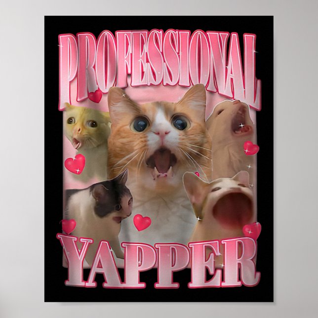 Professional Yapper Cat Funny Oddly Specific Dank  Poster (Front)