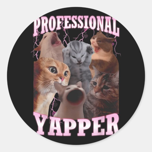Professional Yapper Cat Meme Funny Oddly Specific  Classic Round Sticker (Front)