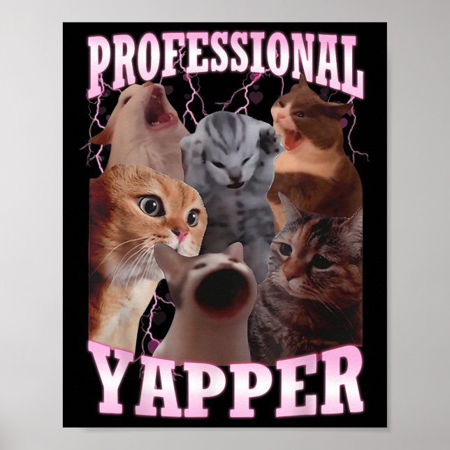 Professional Yapper Cat Meme Funny Oddly Specific  Poster (Front)