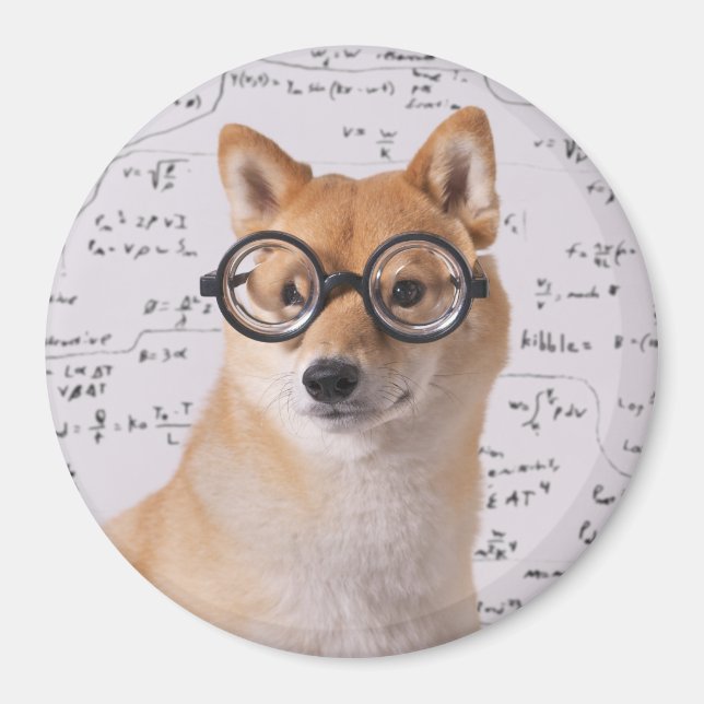Professor Barkley 2¼ Inch Round Magnet (Front)